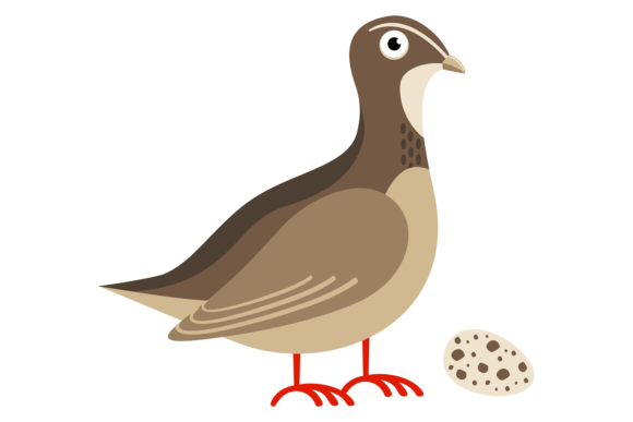 Download Quail Bird with Egg. Cartoon Animal. Wil - Cartoon animal Collection